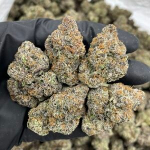 White Cherry Starburst indoors 🍬🍬🍬