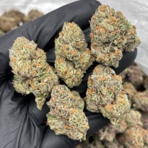 UK ZKITTLES