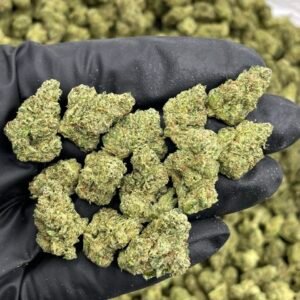 Super Glue Indoor Smalls